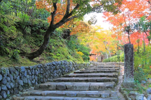 京都　化野念仏寺の参道の石段