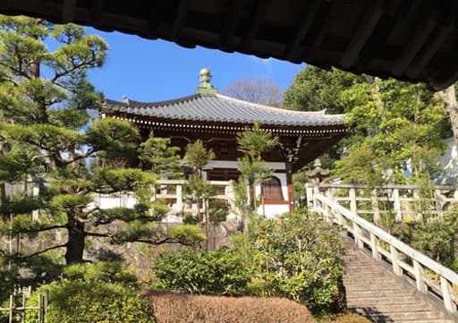 家康、秀忠、家光が祀られる京都　知恩院境内の権現堂