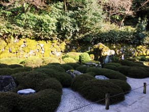 京都　知恩院の二十五菩薩の庭