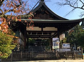 京都　新日吉神宮（いまひえじんぐう）の拝殿