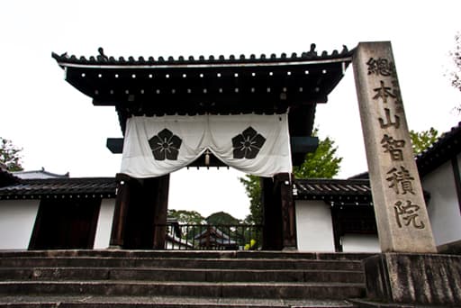京都　智積院の総門