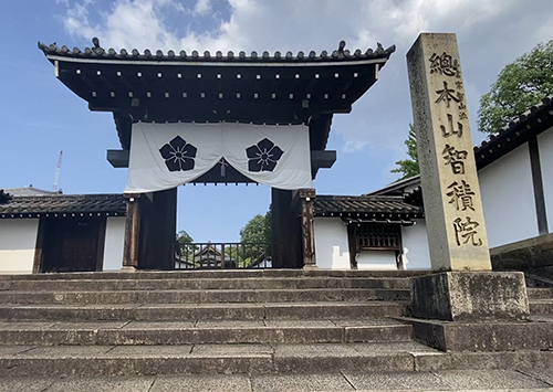 京都　智積院の総門