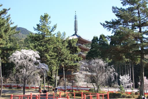 京都　醍醐寺（下醍醐）の境内と五重塔