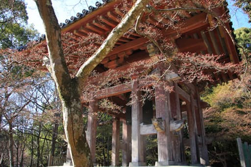 京都　醍醐寺（下醍醐）の鐘楼