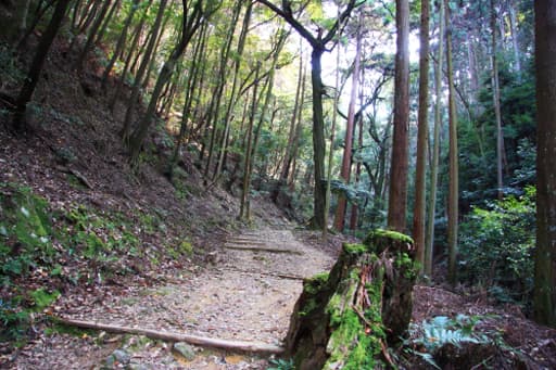 京都　醍醐寺、上醍醐を目指し山道を行く。