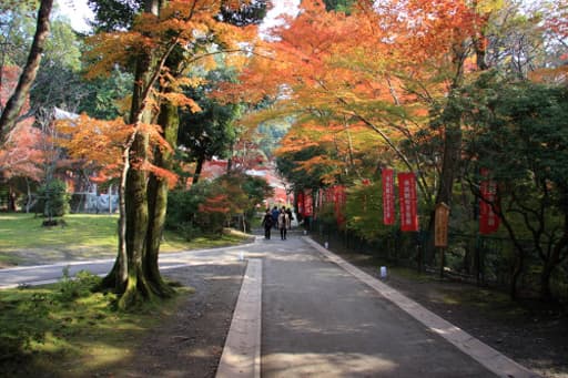 京都　醍醐寺、上醍醐への脇参道