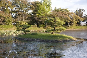 京都　大覚寺境内、大沢の池にある菊ヶ島