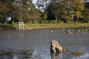 京都　大覚寺境内、大沢の池にある庭湖石