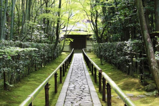 京都　大徳寺の塔頭・高桐院の風情ある参道
