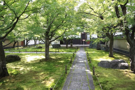 京都　大徳寺の塔頭・黄梅院の参道