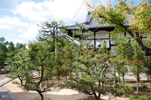 京都　大徳寺の塔頭・総見院境内