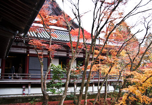 京都　永観堂、「みかえり阿弥陀」を安置する阿弥陀堂