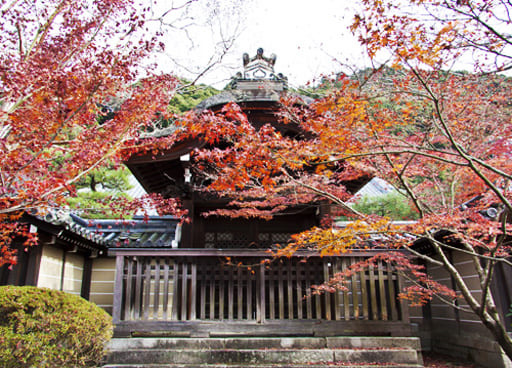 京都　永観堂の勅使門（外から）