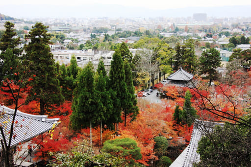 永観堂の多宝塔からは京都の街が一望できる。