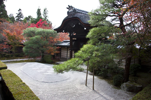 京都　永観堂の唐門（勅使門）と前庭