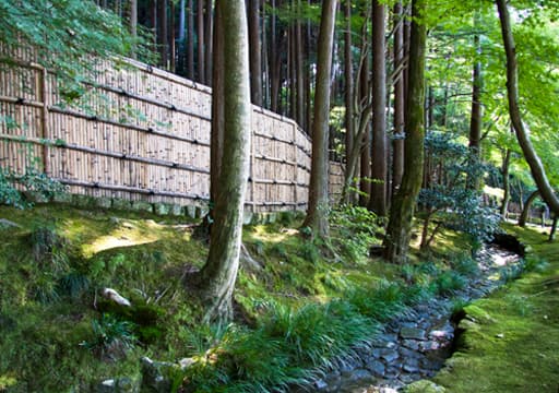 京都　銀閣寺境内、苔が美しい展望所から下りの順路