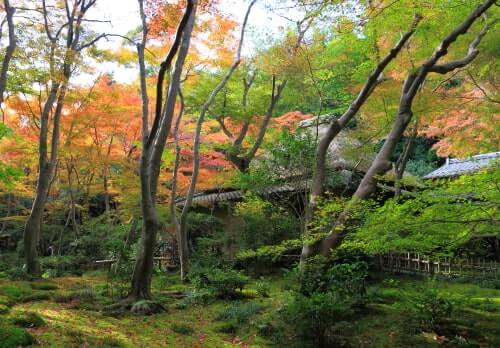 京都　嵯峨にある苔むした風情ある祇王寺（ぎおうじ）は祇王、祇女、仏、刀自が隠棲したお寺