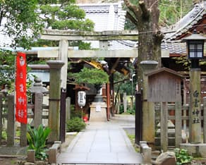 京都御苑の敷地内に建つ白雲神社