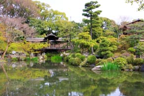 東本願寺の飛び地境内にある渉成園の池