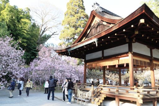 京都　平野神社の拝殿