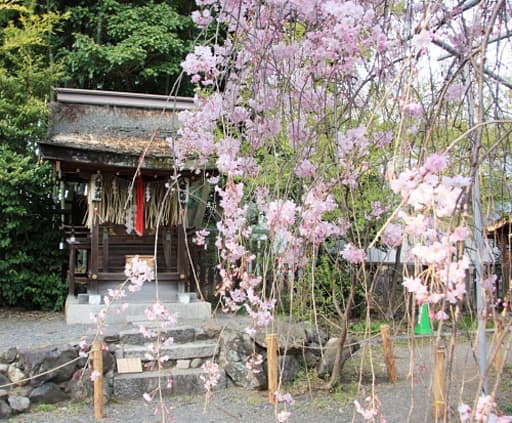 京都　平野神社境内の八幡大神