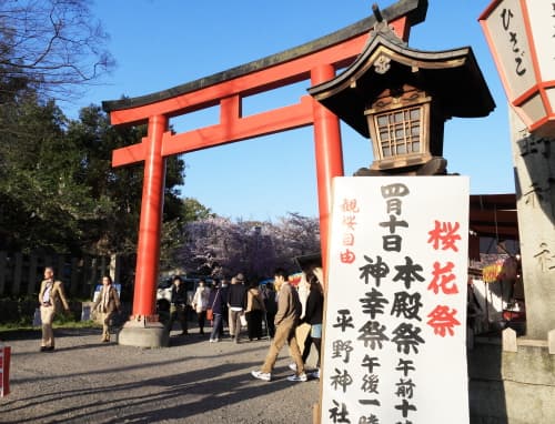 桜の名所・京都　平野神社の西鳥居