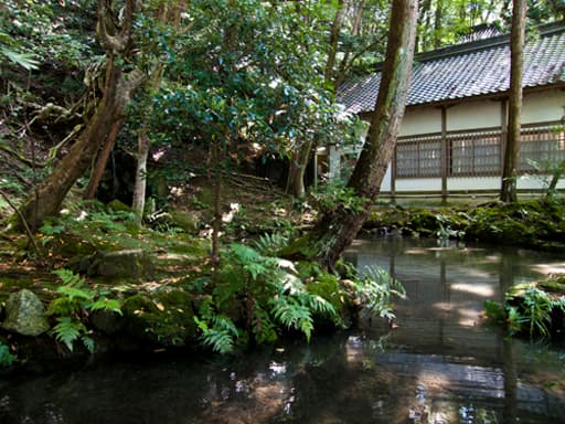 京都　法然院の放生池