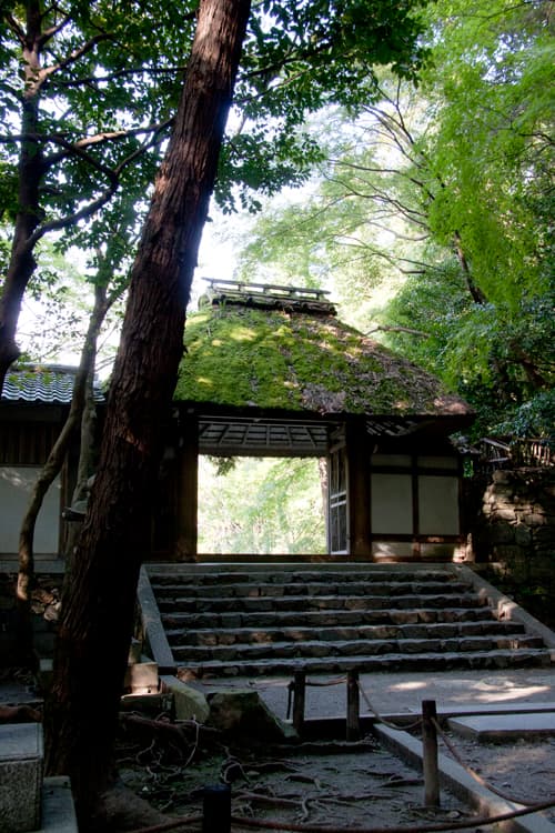 風情ある京都 法然院の茅葺の山門