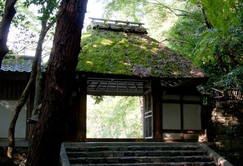 京都法然院歳時記 法然院 | 京都の時空に舞った風