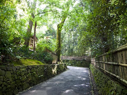 京都　法然院への参道
