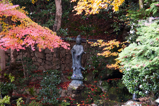 京都　寂光院、四方正面の池の奥に佇む観音様