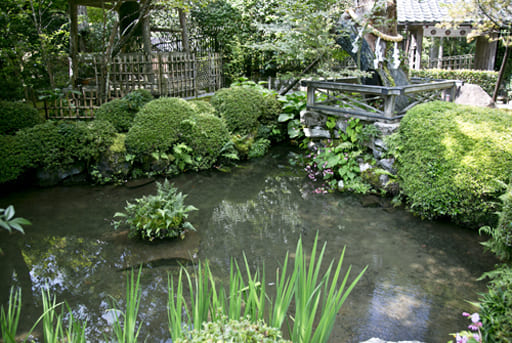 京都　寂光院の汀の池