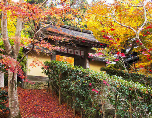 京都】大原・寂光院 建礼門院徳子ゆかりのお寺 - グルメ＆旅行