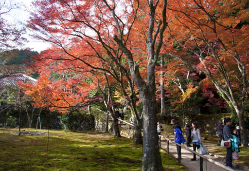 京都　神護寺の紅葉