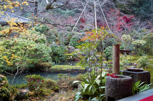 京都岩倉　実相院の山水庭園