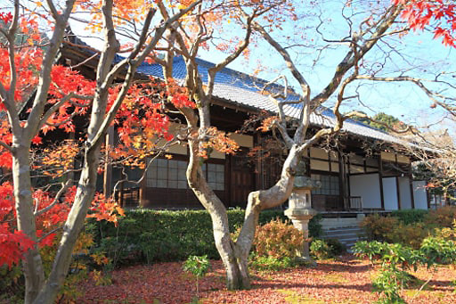 京都嵯峨野、常寂光寺の本堂