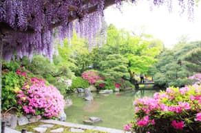 京都　城南宮の庭園、楽水苑