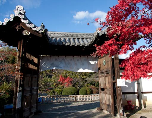 京都　勧修寺の勅使門