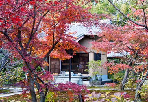 京都　勧修寺の五大堂