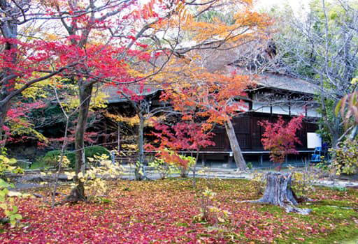 京都　勧修寺境内の庭園と勧修寺本堂