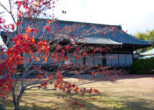 京都　勧修寺の宸殿