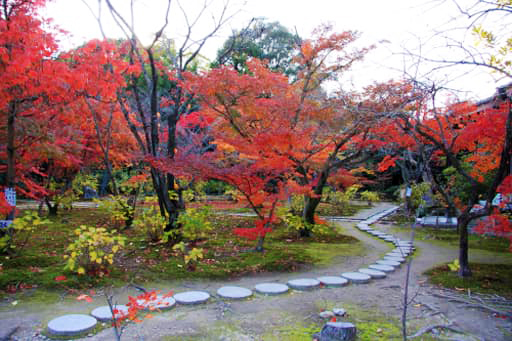 京都　勧修寺境内の庭園の紅葉