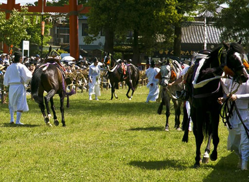 上賀茂神社の葵祭の神事・競馬（くらべうま）の曳き馬