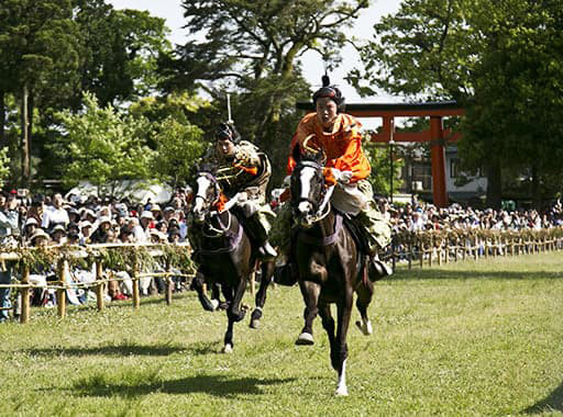 上賀茂神社の葵祭の神事・競馬（くらべうま）の競馬競馳
