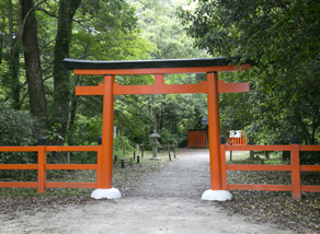 上賀茂神社の境外摂社　半木神社の鳥居