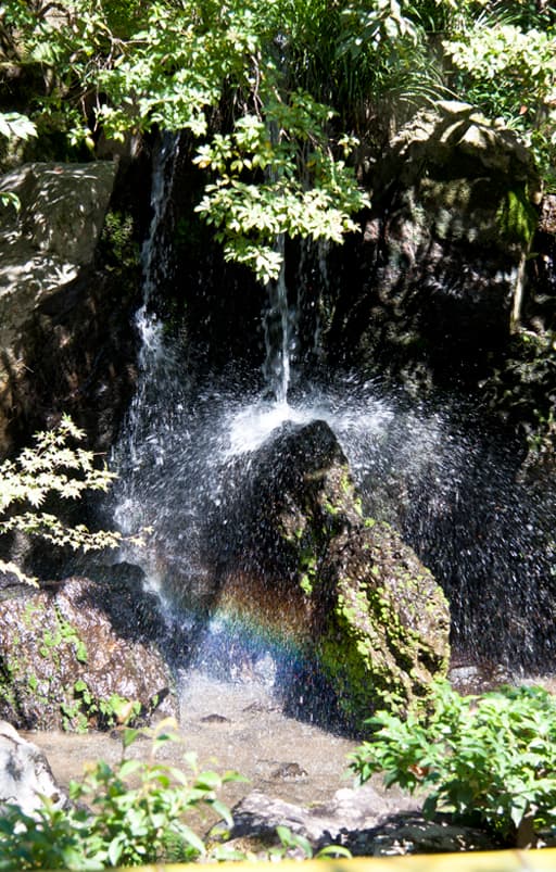 京都　金閣寺境内の龍門滝