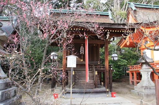 京都　北野天満宮の老松社
