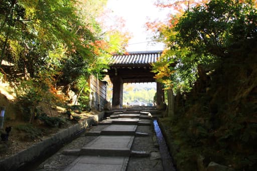 京都　高台寺への台所坂