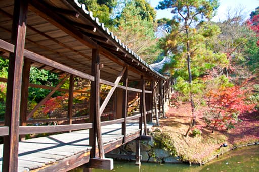 京都　高台寺の臥龍廊
