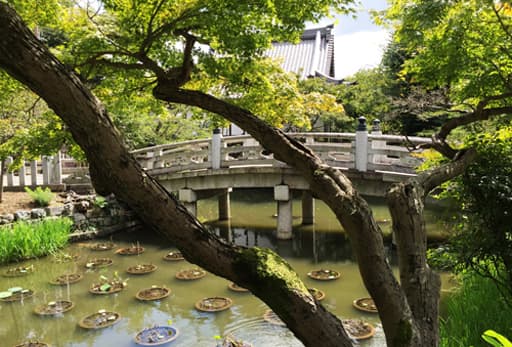 京都　金戒光明寺、蓮池と極楽橋
